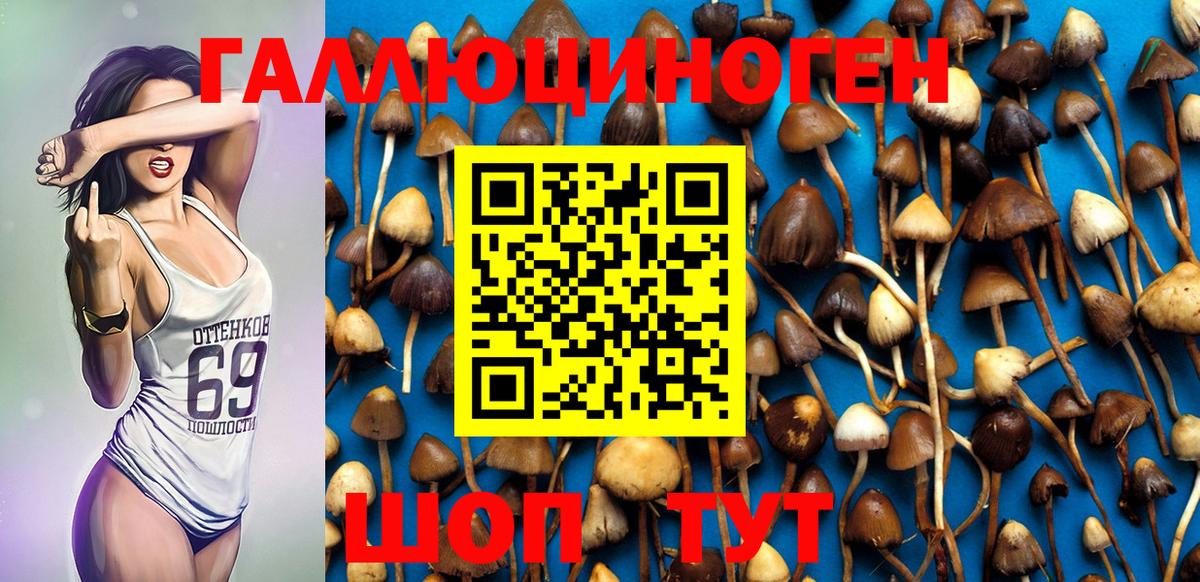 Псилоцибиновые грибы Psilocybine cubensis  Вход с VPN  Искитим 